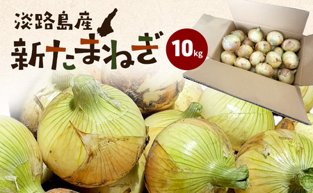 新玉ねぎ 淡路島産 10kg 甘い みずみずしい 新玉ねぎ