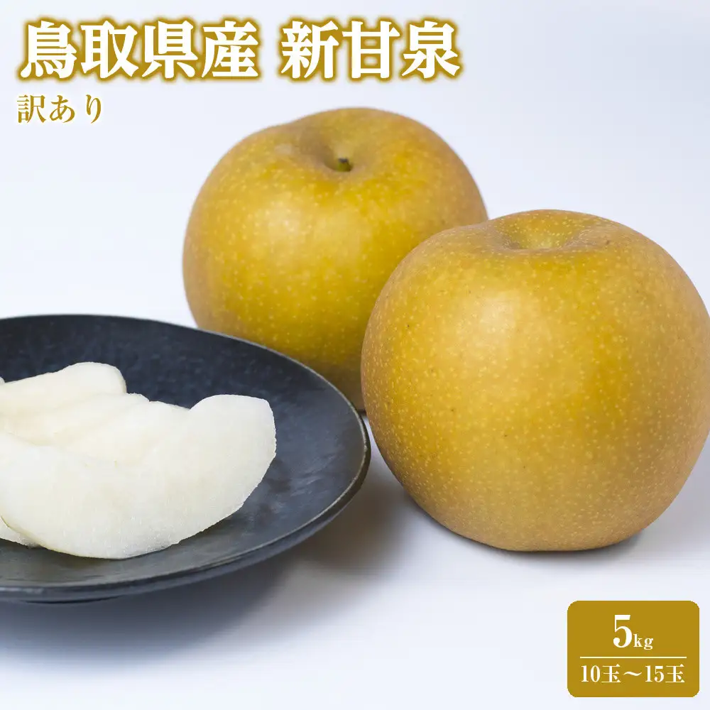 訳あり 鳥取県産 新甘泉 梨 5kg (10玉～15玉)