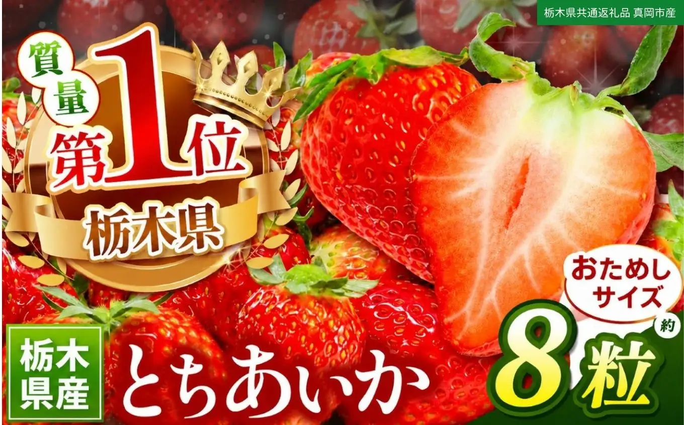苺 いちご お試しとちあいか 8粒【栃木県共通返礼品】TT 栃木県 下野市