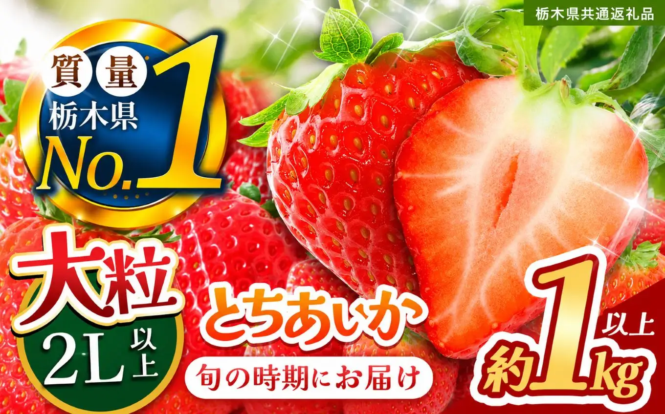 苺 いちご 大粒とちあいか 約1000g【栃木県共通返礼品】TT 栃木県 下野市