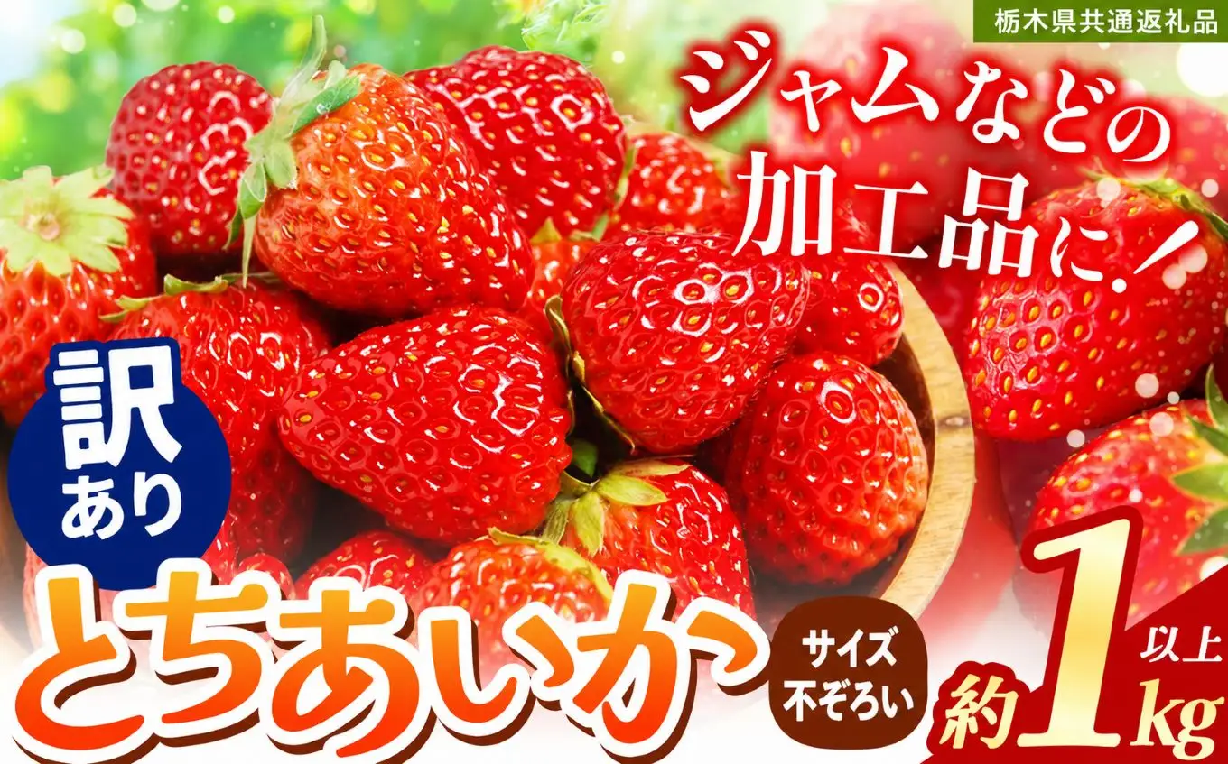 苺 いちご【訳あり】サイズランダム とちあいか 約1000g【栃木県共通返礼品】TT 栃木県 下野市