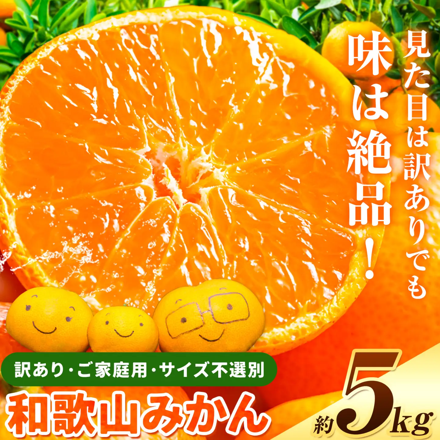 みかん 訳あり 和歌山みかん 約5kg