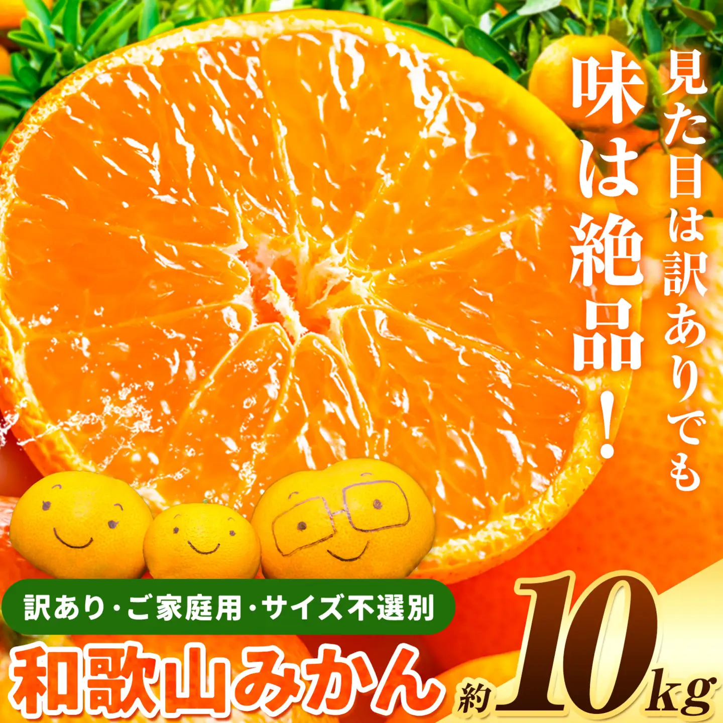みかん 訳あり 和歌山みかん 約10kg