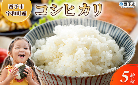 ＜令和7年産 コシヒカリ 約5kg 西予市宇和町産＞ 5キロ 白米 精米 こしひかり 米 お米 コメ こめ 宇和米 うわまい ご飯 ごはん ライス 送料無料 産地直送 天川農園 愛媛県 西予市【常温】『2025年9月中旬～12月迄に順次発送』UAN0001