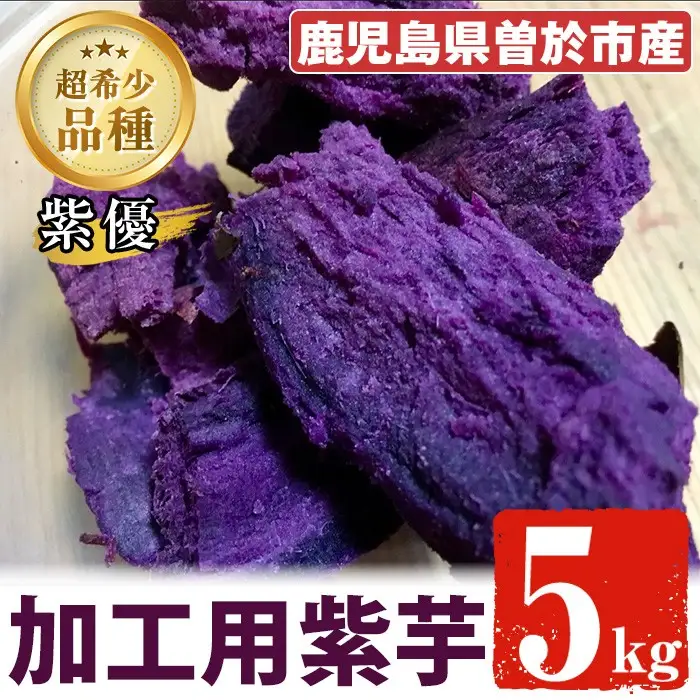 ＜先行予約受付中！2026年9月以降順次発送予定！＞紫芋 加工用さつまいも紫優(5kg)【瀬崎農園】A418-v02