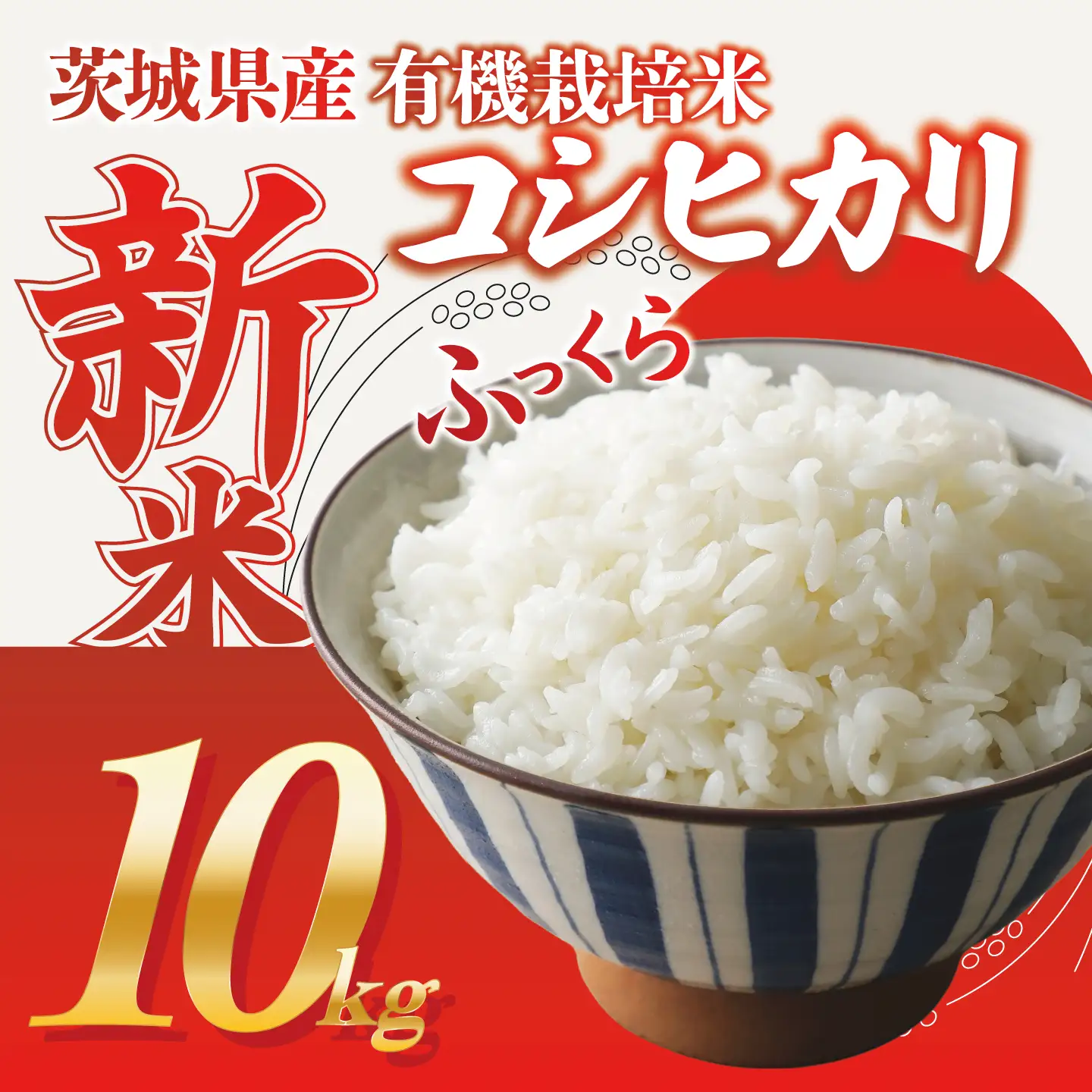 米 令和8年産 新米 コシヒカリ 精米 10kg 米