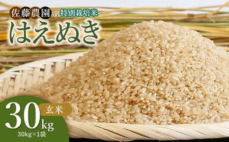 【令和8年産 新米】特別栽培米はえぬき 玄米 30kg(30kg×1袋)　山形県鶴岡市 佐藤農園