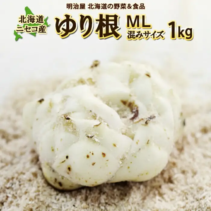 【先行予約】北海道ニセコ町 ゆり根M-L混みサイズ1kg【2026年産】【3200301】