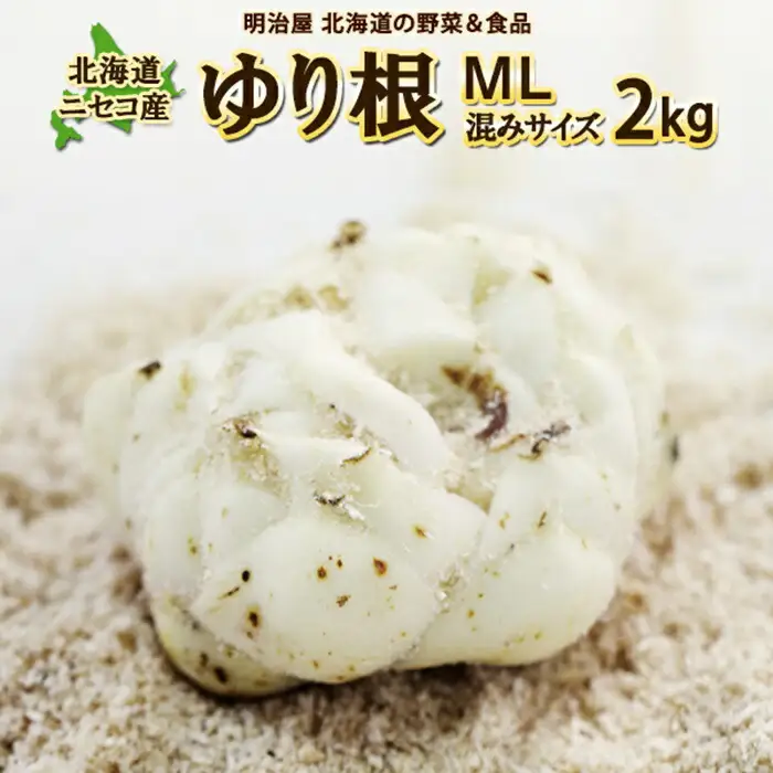 【先行予約】北海道ニセコ町 ゆり根M-L混みサイズ2kg【2026年産】【3200401】