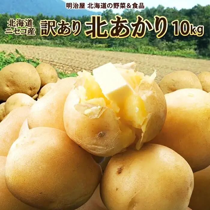 〈早期予約・数量限定〉北海道ニセコ町 訳ありじゃがいも北あかり10kg【2026年産】【3200902】