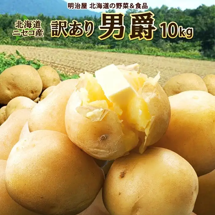 〈早期予約・数量限定〉北海道ニセコ町 訳ありじゃがいも男爵10kg【2026年産】【3201002】