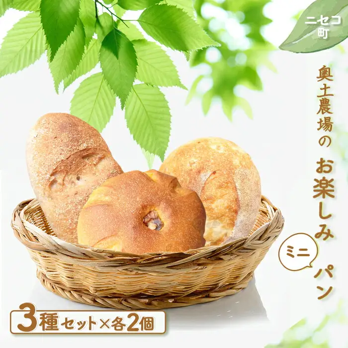 【ニセコ町】奥土農場のお楽しみミニパン3種セット×２セット（くるみパン・玄米パン・かぼちゃパン）【42004】
