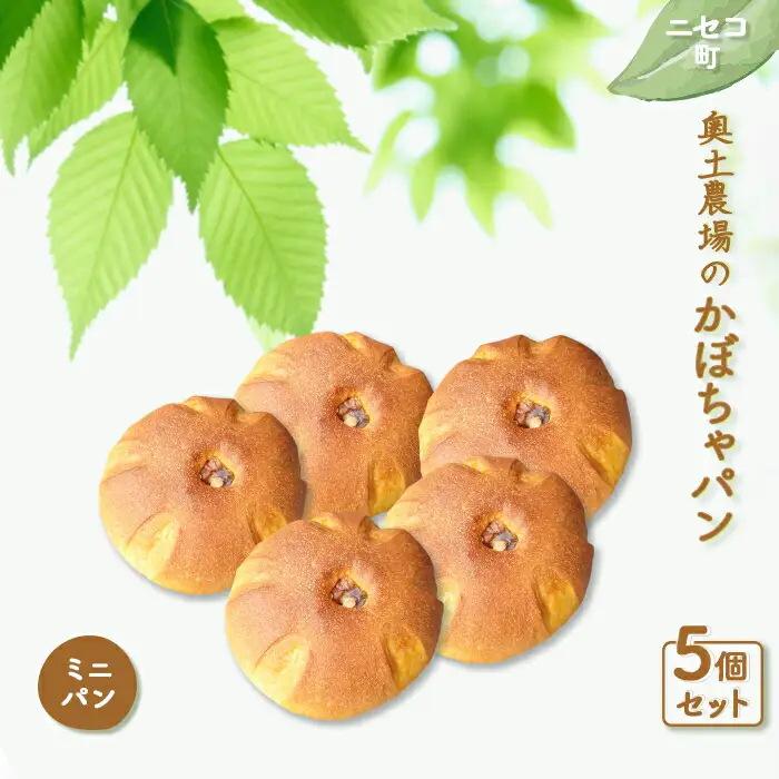 【ニセコ町】奥土農場のかぼちゃパン（ﾐﾆﾊﾟﾝ) 5個セット【42009】