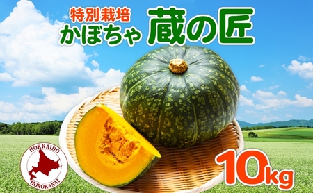 かぼちゃ蔵の匠北海道産かぼちゃ【約10kg 5～7個】