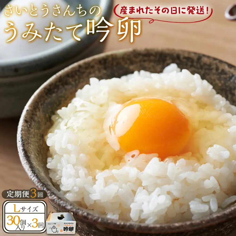 【3回定期便】さいとうさんちのうみたて吟卵　30個入り 卵