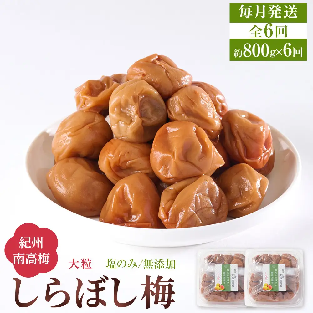 梅干し しらぼし梅  約800g（約400g×2） 塩のみ 無添加 大粒 紀州南高梅 塩分約15％ 和歌山県産 [ 定期便 毎月発送・全6回 ]