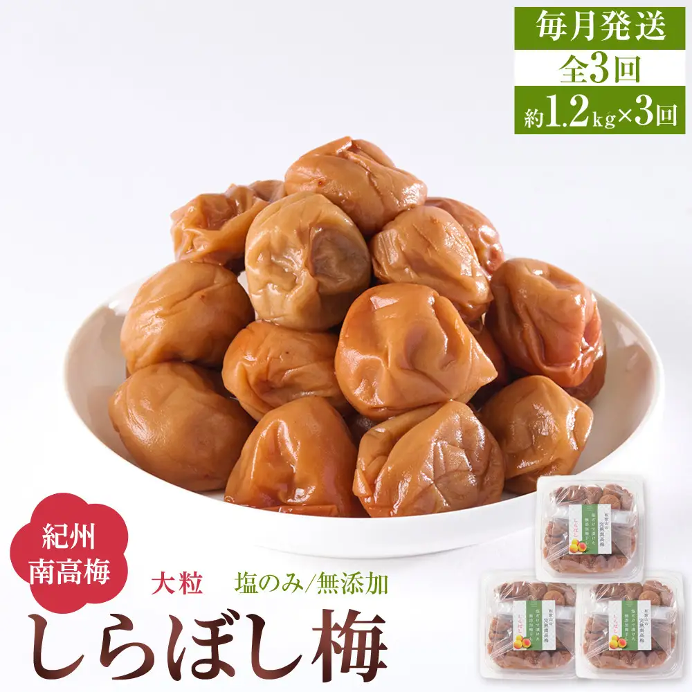 梅干し しらぼし梅 約1.2kg（約400g×3）塩のみ 無添加 大粒 紀州南高梅 塩分約15％ 和歌山県産 [ 定期便 毎月発送・全3回 ]