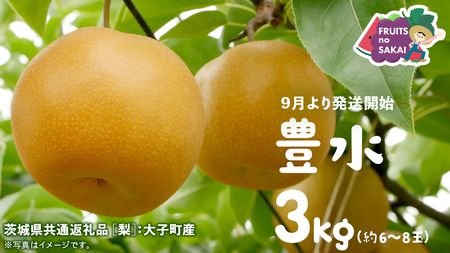 豊水 梨 3kg （6～8玉）【2026年9月より発送開始】（茨城県共通返礼品 [梨]：大子町産） 
