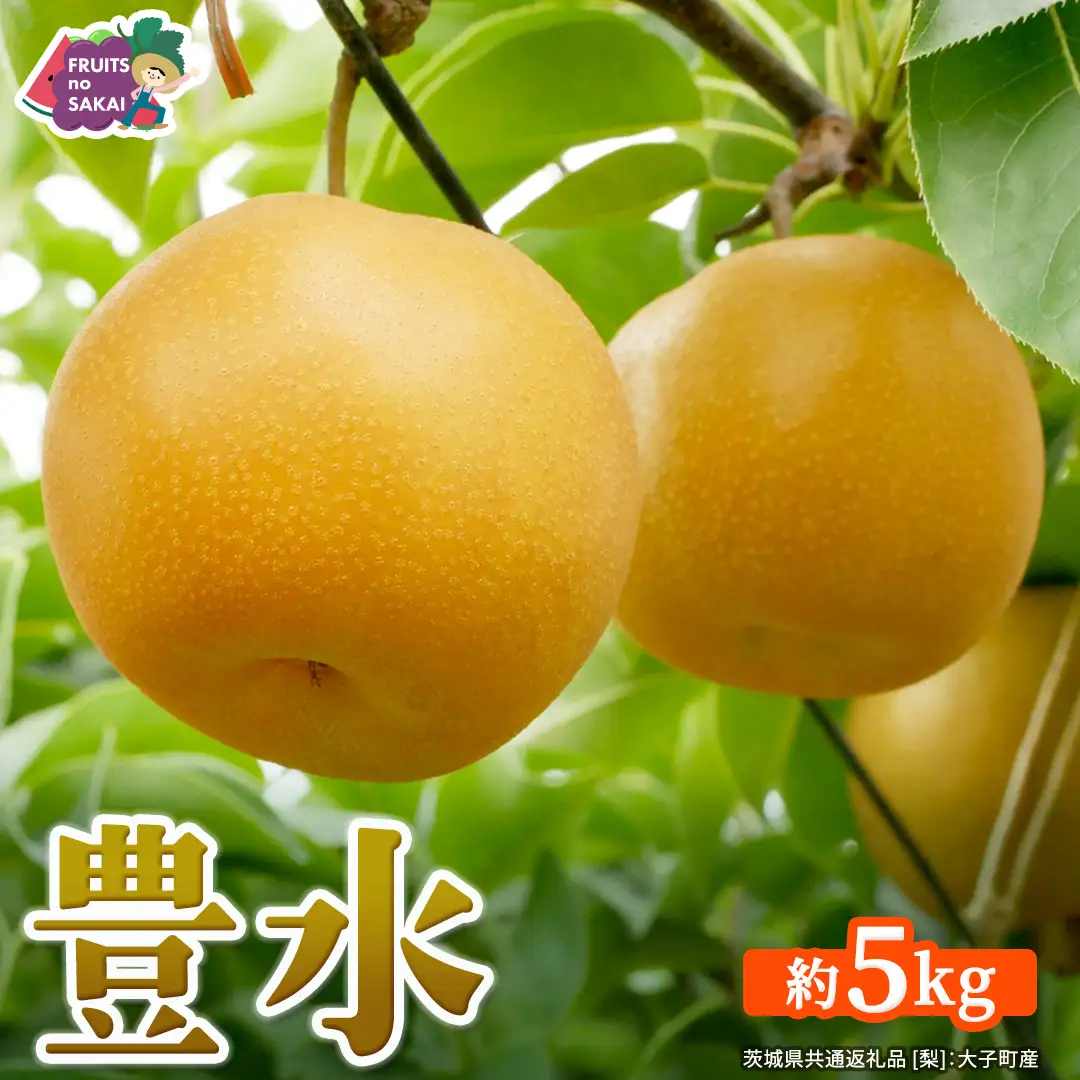 豊水 梨 約5kg 【2026年9月より発送開始】（茨城県共通返礼品 [梨]：大子町産）