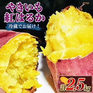 焼き芋 【2027年1月中旬頃より順次発送】さつまいも 紅はるか tsuguchan009