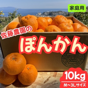 東伊豆・佐藤農園のポンカン　家庭用10kg（Mサイズ～3Lサイズ） 1323 ／ 佐藤農園 果物 フルーツ 農家直送 静岡県 東伊豆町
