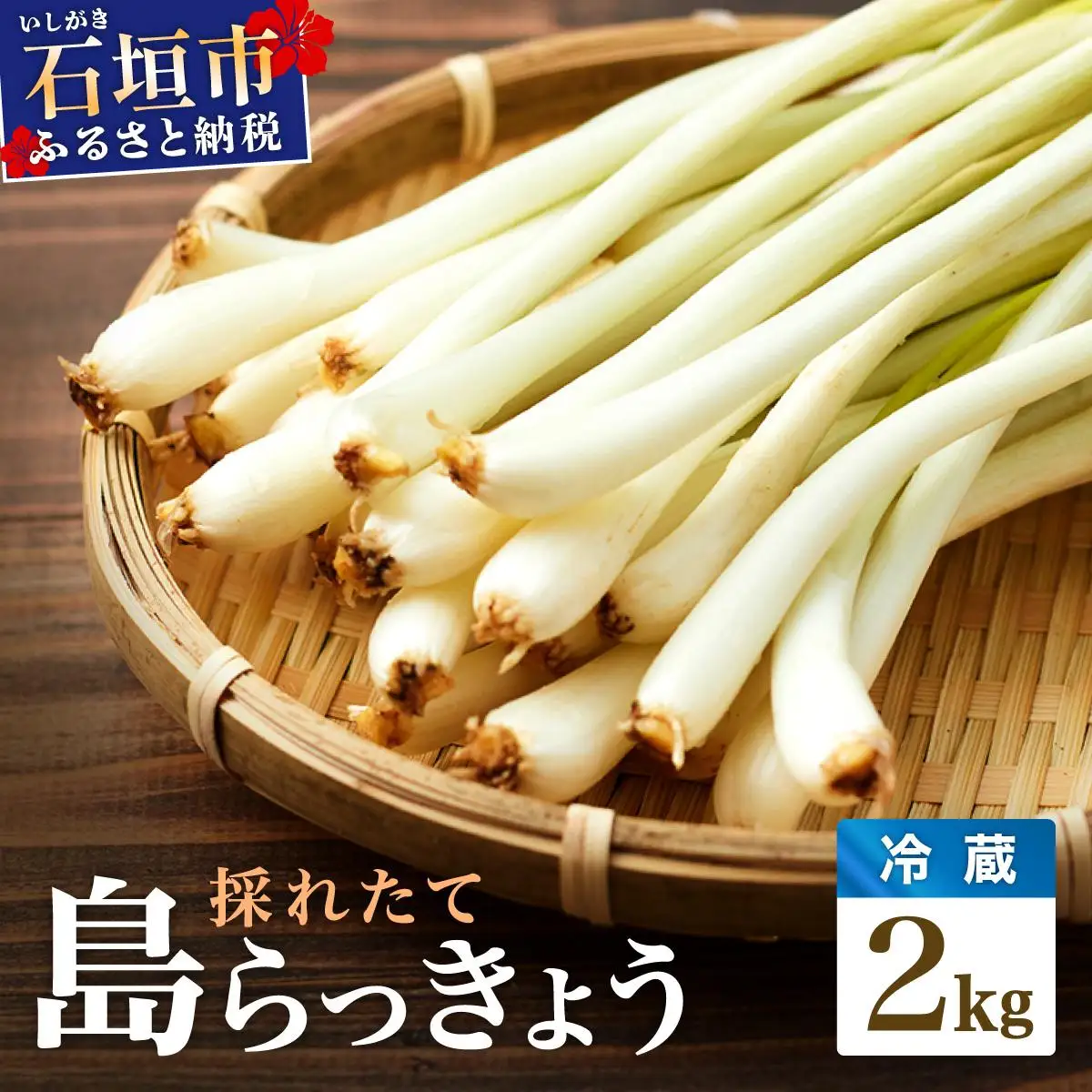 採れたて島らっきょう 農薬・化学肥料不使用 2kg ≪2027年3月中旬～6月下旬発送≫