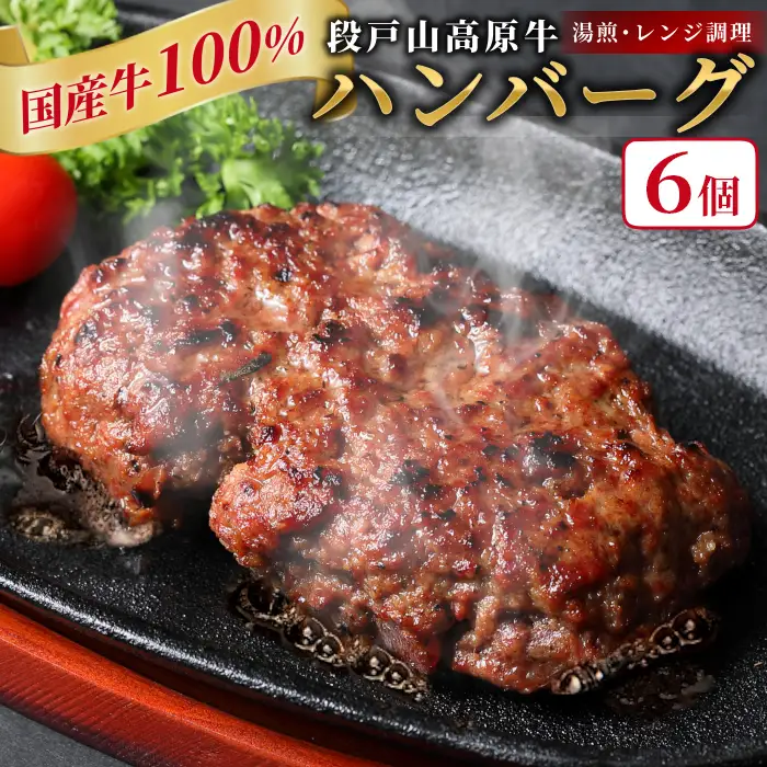国産 牛肉 100%使用！ ハンバーグ レンジ可 湯煎 加熱済 6個 個包装 100ｇ 国産牛 牛 着色料 保存料 化学調味料 不使用 牛肉ハンバーグ 肉 肉汁 -095