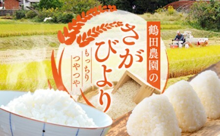 【令和7年産新米予約】ひとみちゃんちの「さがびより」5kg 046-B991