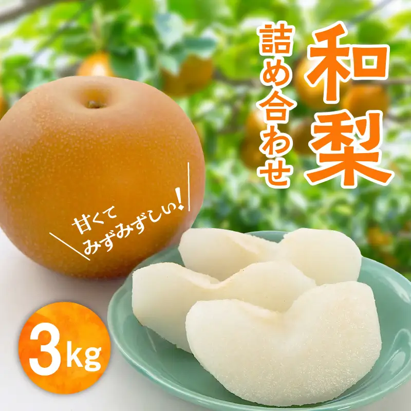【先行予約】和梨 詰め合わせ 3kg 旬 甘い くだもの 果物 フルーツ なし ナシ グルメ 人気 おすすめ ランキング 故郷 ふるさと 納税 秋田 秋田県 潟上 潟上市 【舘岡果樹園】
