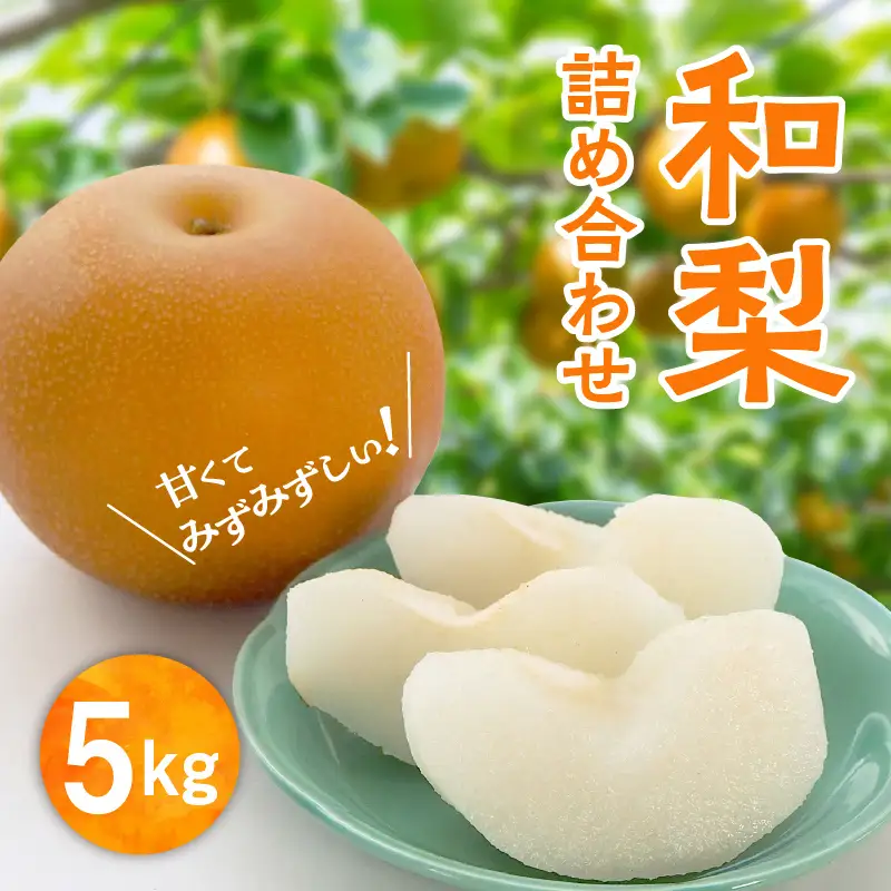 【先行予約】和梨 詰め合わせ 5kg 旬 甘い くだもの 果物 フルーツ なし ナシ グルメ 人気 おすすめ ランキング 故郷 ふるさと 納税 秋田 秋田県 潟上 潟上市 【舘岡果樹園】