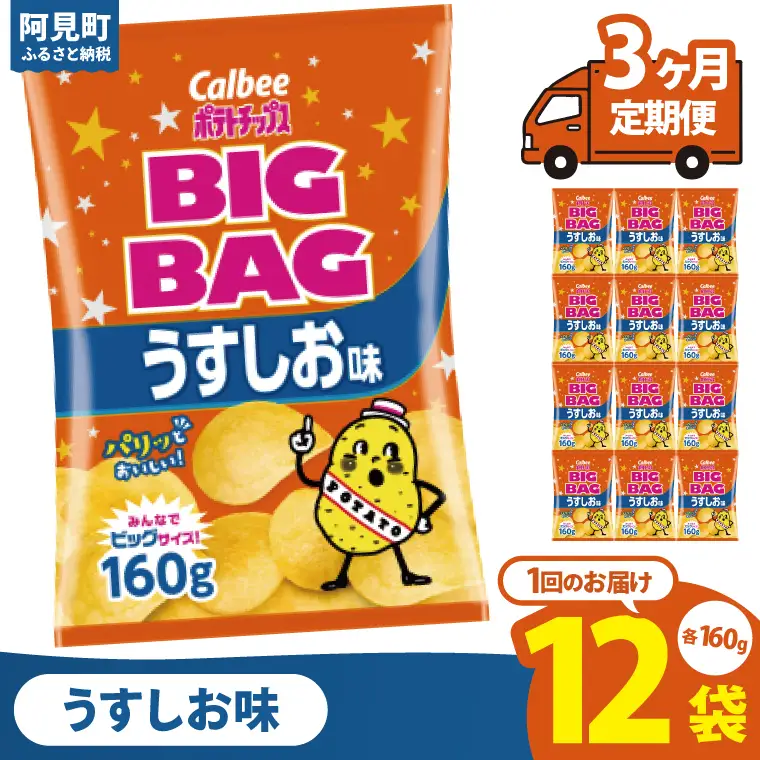 【3ヶ月定期便】カルビー ポテトチップス うすしお味 BIGBAG（160g）×12個｜Calbee お菓子 菓子 おやつ おかし ぽてち ポテチ スナック おつまみ ジャガイモ じゃがいも（93-56）