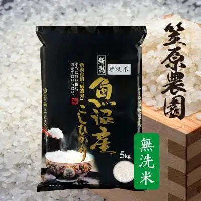 令和7年産 魚沼産コシヒカリ 無洗米 5kg | コシヒカリ