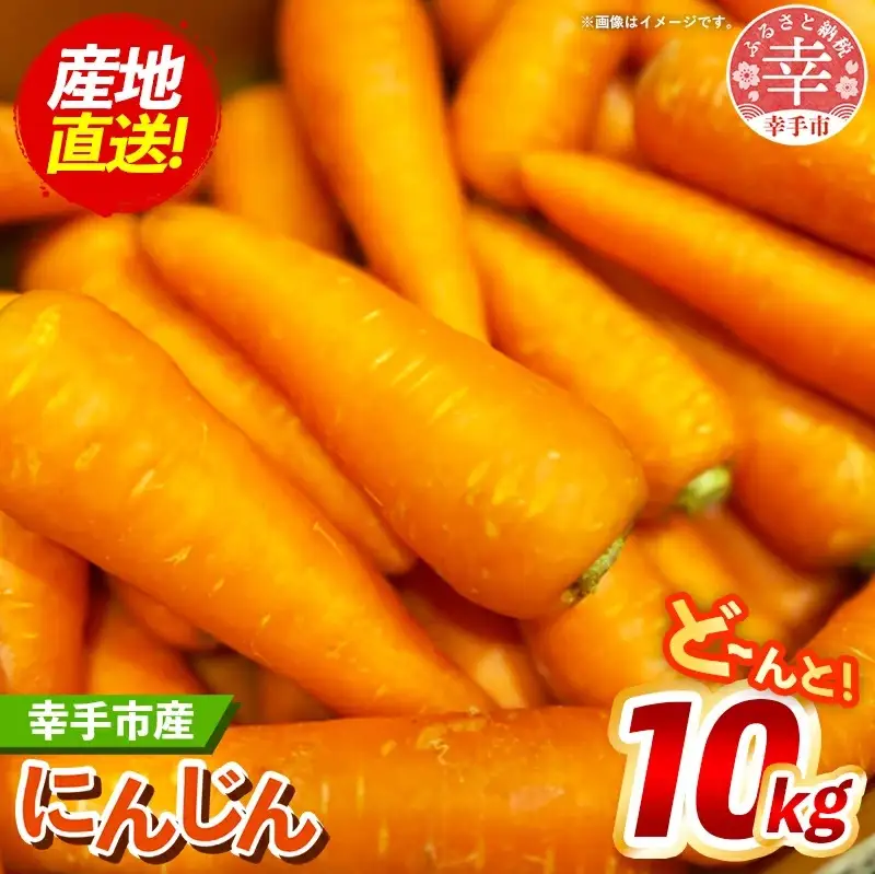 【きあり農園】2026年度 幸手市産 人参 10kg - 採れたて にんじん ニンジン 産地直送 野菜 ベジタブル 美味しい おいしい 根菜 煮物 炒め物 カレー サラダ おすすめ 送料無料 埼玉県 幸手市