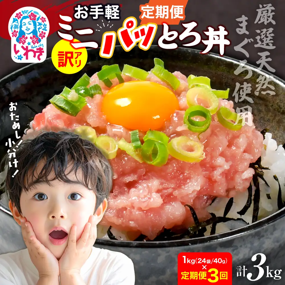 【定期便3回】ねぎとろ約1kg ネギトロ 
