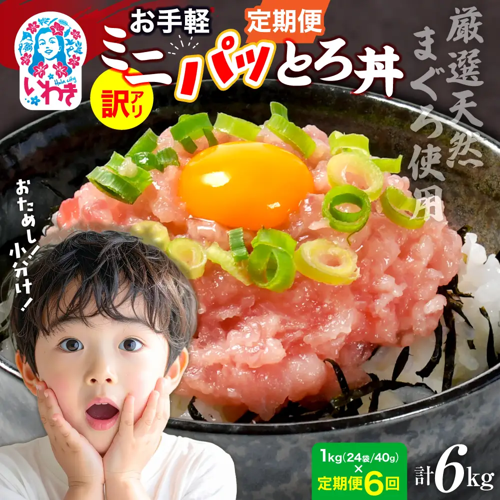 【定期便6回】ねぎとろ1kg（約40g×24パック） ネギトロ