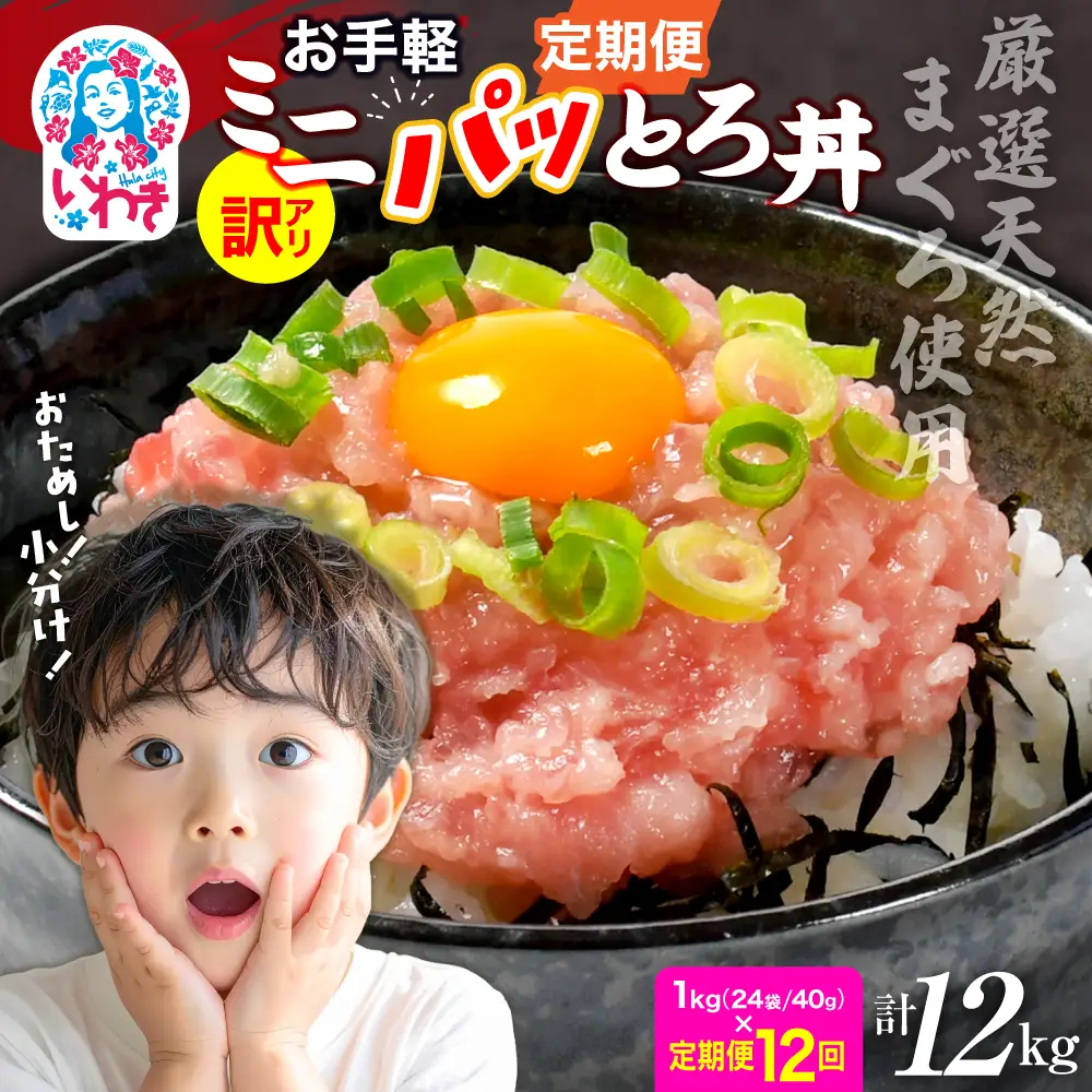 【定期便12回】ねぎとろ ねぎとろ 約1kg（約40g×24）