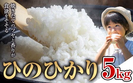 米 ひのひかり 米 計5kg 《30日以内に出荷予定(土日祝除く)》 ヒノヒカリ お米 こめ 熊本県産 精米 ブランド米 ご飯