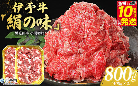 ＜伊予牛「絹の味」黒毛和牛 小間切れ 約800g＞お肉 牛肉 精肉 国産 和牛 ブランド牛 こま切れ 小分け 全国農業協同組合連合会 愛媛県本部／愛媛県 西予市【冷凍】『最短10営業日以内に順次発送』OZN0002