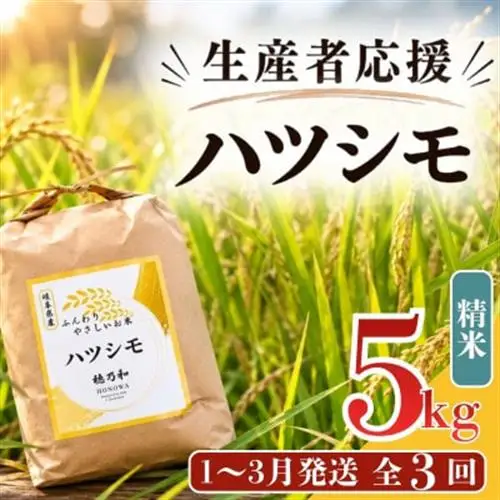 【発送月固定定期便】【先行予約】生産者応援!岐阜県産ハツシモ(精米)5kg【1～3月発送】全3回【配送不可地域：離島】【4073730】
