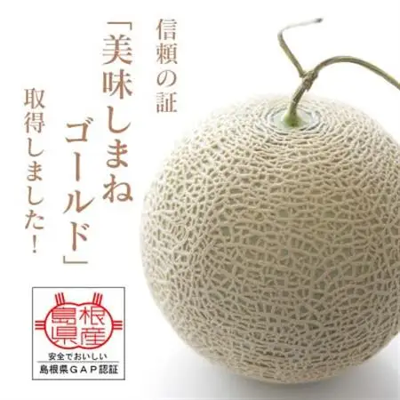 メロンパークの赤肉メロン【2026年10月より順次発送・2Lサイズ1玉】【1666377】