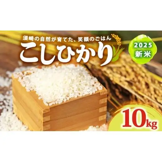 【 コシヒカリ 】 年内配送 コシヒカリ 10kg