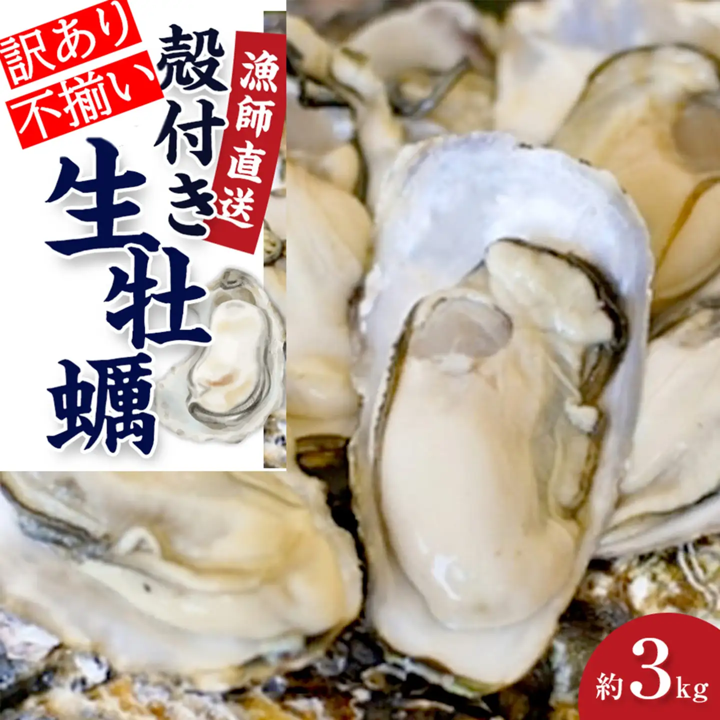 ★先行予約★《訳あり・不揃い》殻付き生牡蠣　3kg 【漁師直送!】冷蔵配送