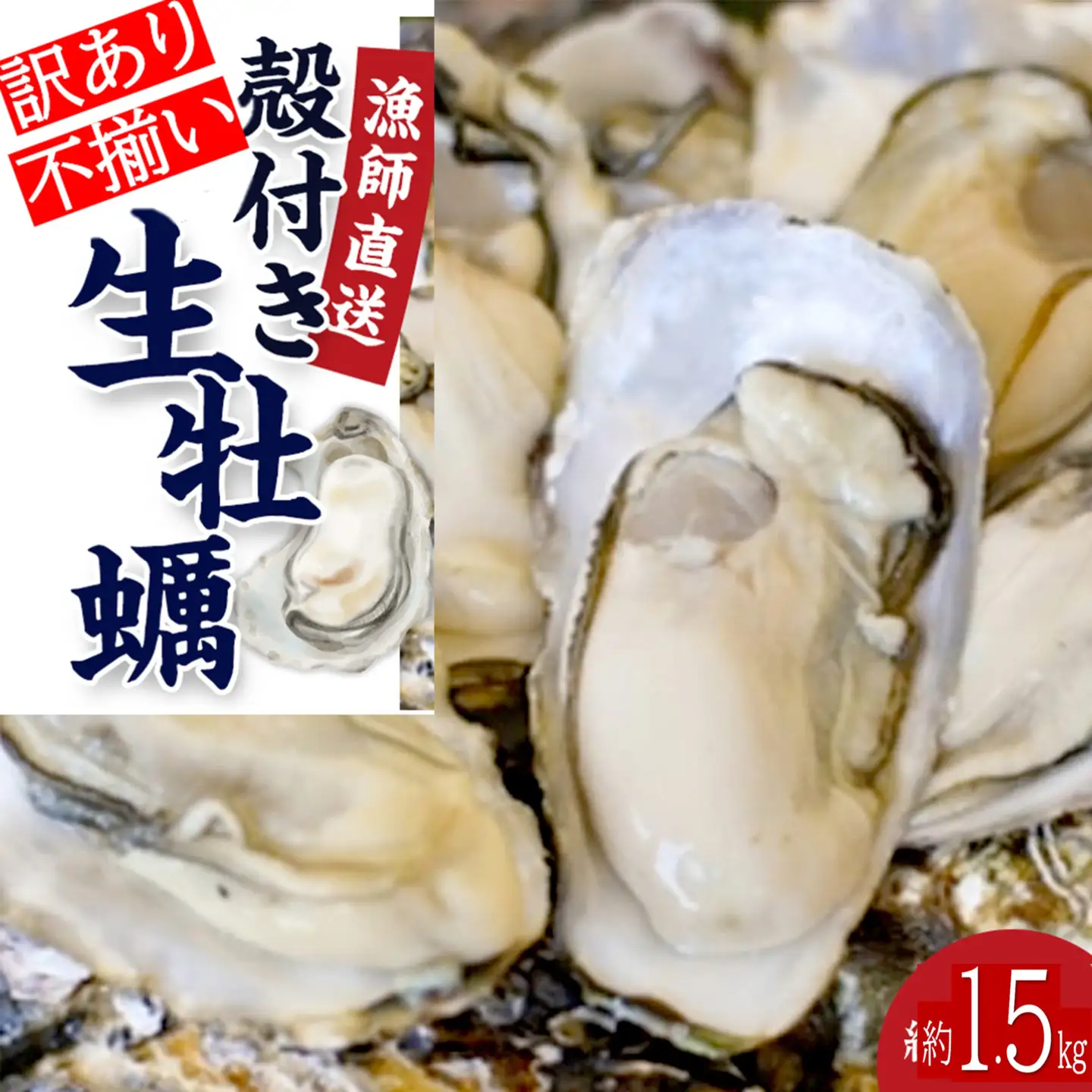 ★先行予約★《訳あり・不揃い》殻付き生牡蠣　1.5kg 【漁師直送!】冷蔵配送