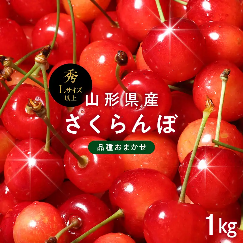 FYN6-613 ≪2027年先行予約≫山形県産 品種おまかせ さくらんぼ(佐藤錦・紅秀峰など) 1kg(500g×2) 秀品 L以上 バラパック詰め 2027年6月中旬から順次発送 果物 くだもの フルーツ サクランボ チェリー 贈答 贈り物 ギフト プレゼント 自宅 家庭 産地直送 山形県 西川町 月山