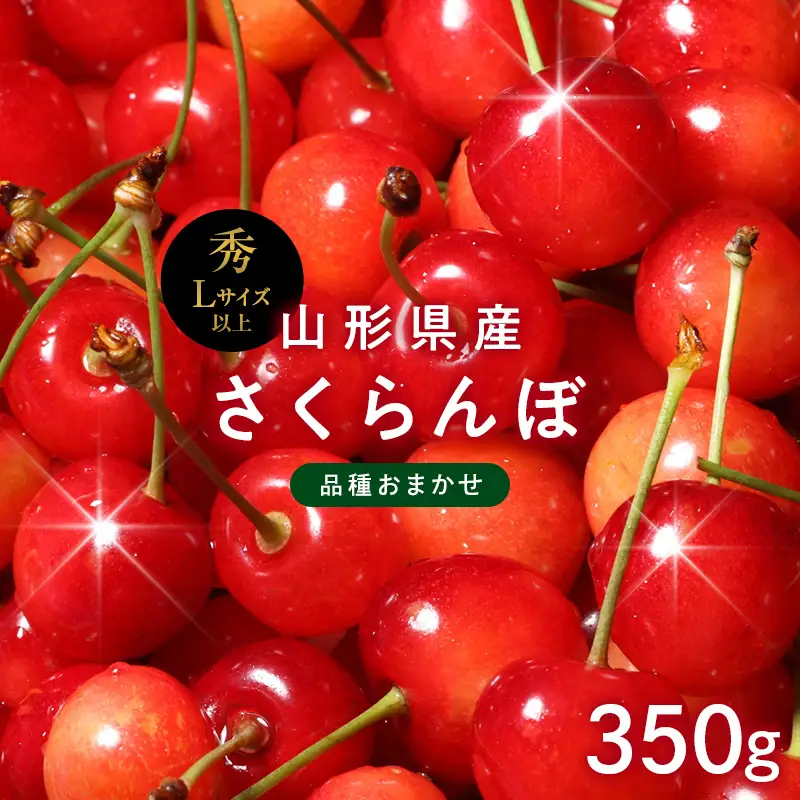 FYN6-608 ≪2027年先行予約≫山形県産 品種おまかせ さくらんぼ(佐藤錦・紅秀峰など) 350g 秀品 L以上 バラパック詰め 2027年6月中旬から順次発送 果物 くだもの フルーツ サクランボ チェリー 贈答 贈り物 ギフト プレゼント 自宅 家庭 産地直送 山形県 西川町 月山