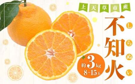 ＜ R8年熊本地震復興支援 ＞【先行受付】上天草市産 不知火 約3kg（8玉～15玉） 柑橘 果物 フルーツ 熊本県 上天草市 【2027年3月下旬～5月上旬順次発送予定】