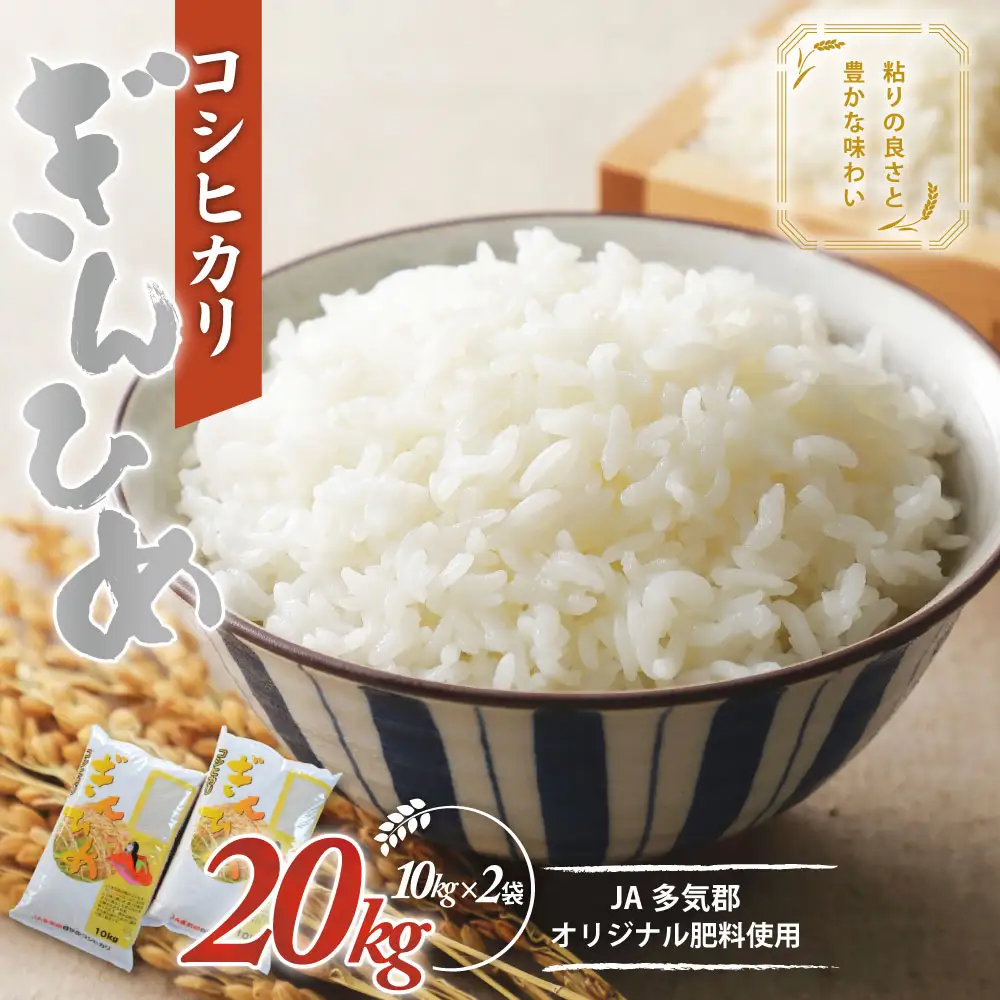 コシヒカリ「ぎんひめ」20㎏ (10㎏×2 ) 多気郡産 米 コメ 精米 白米 10kg 20kg 国産 ごはん 人気 おすすめ こしひかり 三重県 多気町 JA‐09