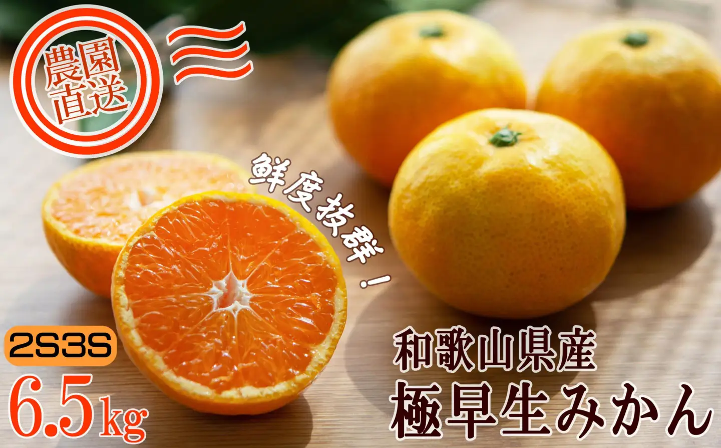 【極早生みかん】6.5kg 小玉サイズ 和歌山県産 2026年10月より農家直送 日南早生みかんなど［Mg40］