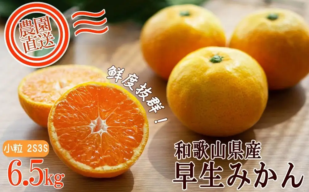訳あり 早生みかん 2S・3S混合 6.5kg 和歌山みかん