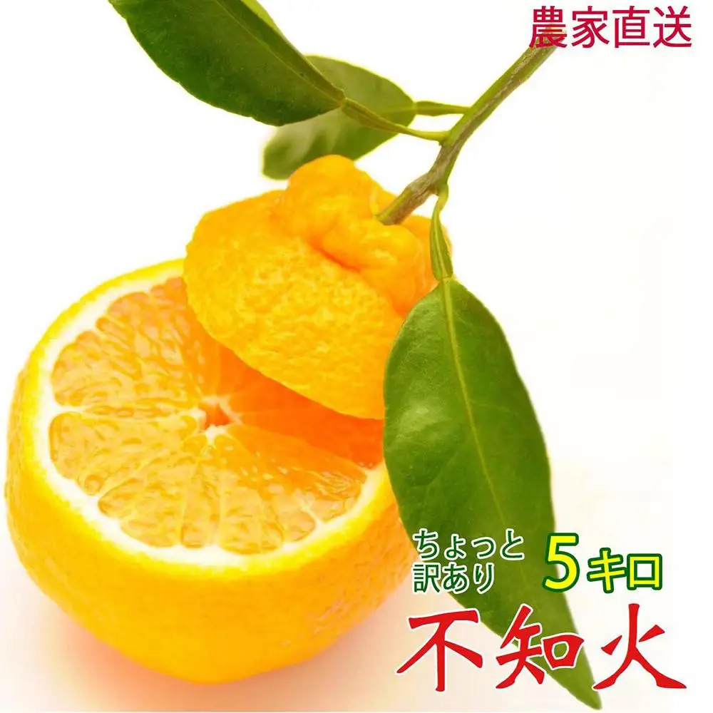 訳あり 不知火 5kg(デコポンと同一品種)デコポン
